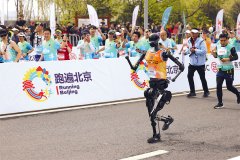 <b>人工智能锻炼师、人机交互等新兴职业的出现</b>