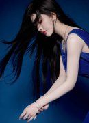 终止其省第十三次党代会代表资历劣